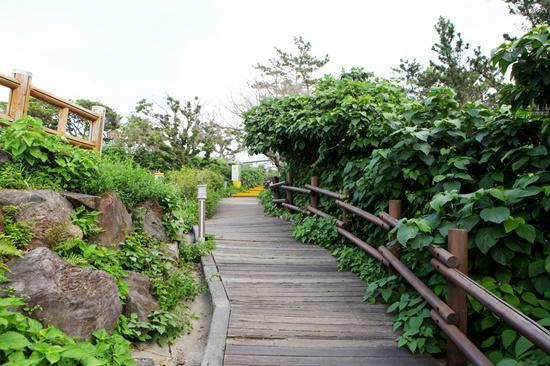 Haeansung Pension Seogwipo Zewnętrze zdjęcie